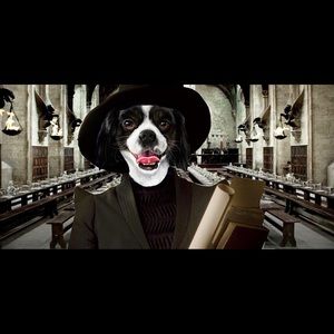 Meet your Posher, Dee